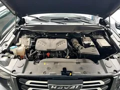 2022 Haval Dargo 2.0T DCT 4WD Chinese Rural Dog Edition, чёрный — фото 20