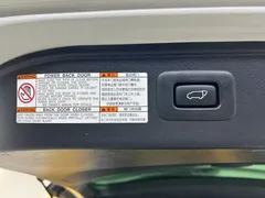 2021 Toyota Alphard 2.5L Hybrid 4WD Executive, белый — фото 17