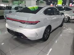 2024 BYD Destroyer 05 DM-i PHEV 55km Luxury, белый — фото 9