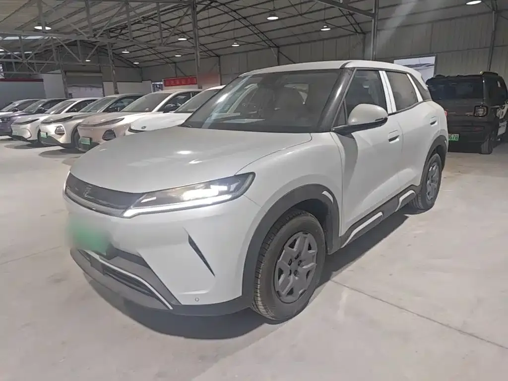 2025 BYD Yuan UP EV 301km Pilot
