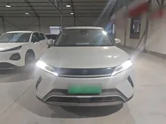 2025 BYD Yuan UP EV 301km Pilot, белый — фото 3
