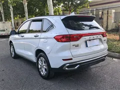 2021 Haval M6 Plus 1.5T DCT Elite, белый — фото 4
