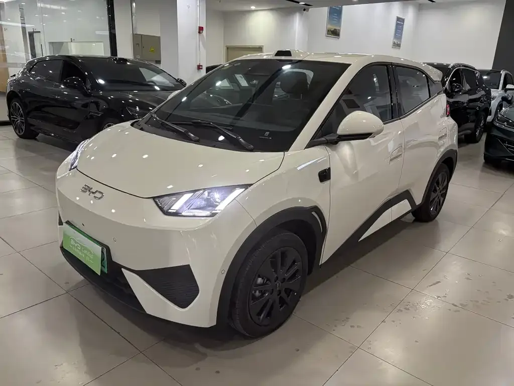2026 BYD Seagull 305km Freedom