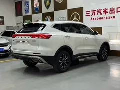 2021 Haval H6 1.5T AT Guochao Urban, белый — фото 5