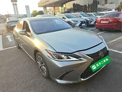 2022 Lexus ES 300h Excellence — фото 4