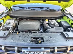 2022 Haval Cool Dog 1.5T DCT 2WD, зелёный — фото 16