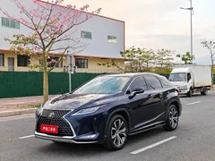 2020 Lexus RX 300 4WD Elegant, чёрный — фото 1