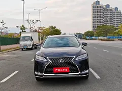2020 Lexus RX 300 4WD Elegant, чёрный — фото 3