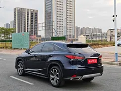 2020 Lexus RX 300 4WD Elegant, чёрный — фото 5