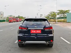2020 Lexus RX 300 4WD Elegant, чёрный — фото 6