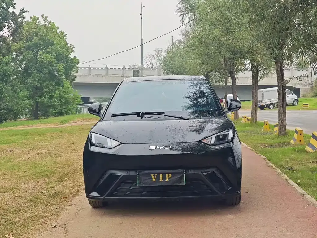 2024 BYD Seagull EV Glory 405km Flying