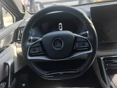 2024 BYD Tang EV Honor Edition 730KM Premium, белый — фото 15