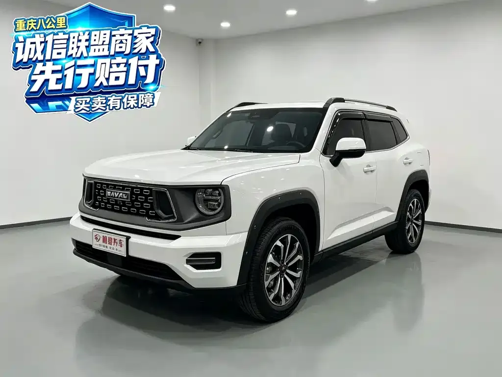 2023 Haval Dargo PLUS 2.0T 2WD Plus