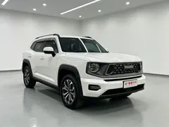 2023 Haval Dargo PLUS 2.0T 2WD Plus, белый — фото 3