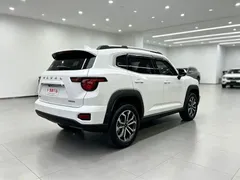 2023 Haval Dargo PLUS 2.0T 2WD Plus, белый — фото 11
