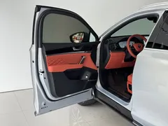 2025 BYD Tang ADAS DM-i PHEV 175KM Premium — фото 15