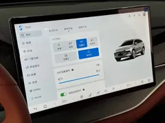2025 BYD Tang ADAS DM-i PHEV 175KM Premium — фото 21