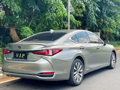 2020 Lexus ES 300h Excellence — фото 7