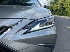 2020 Lexus ES 300h Excellence — фото 13