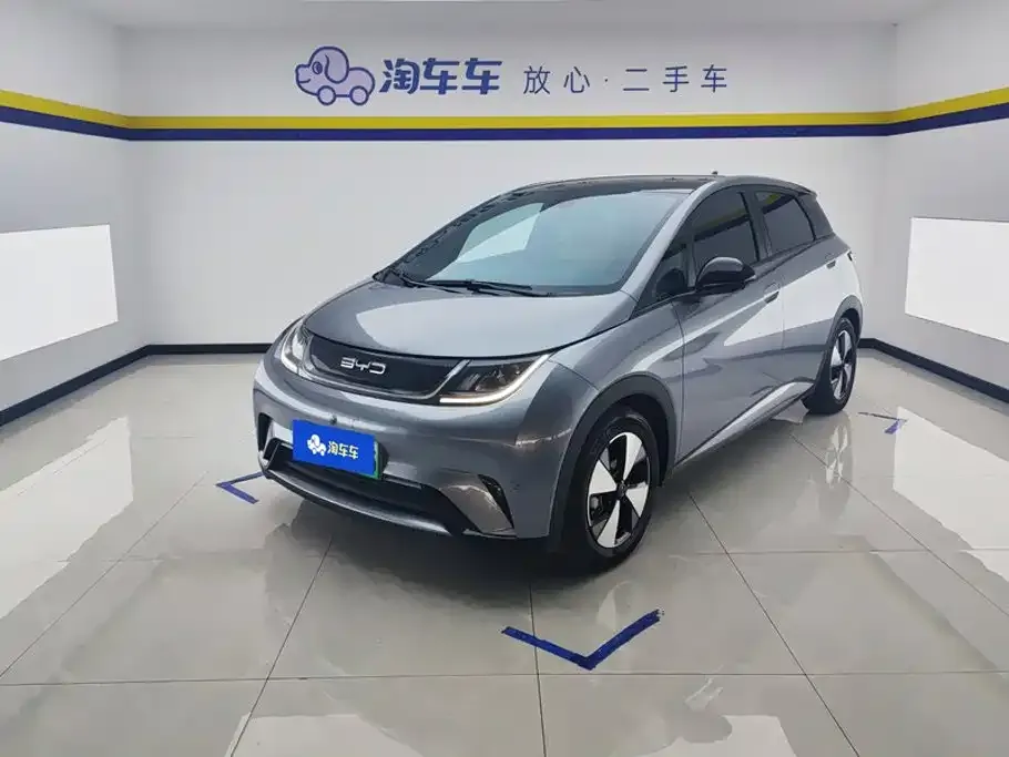 2023 BYD Dolphin 420km Fashion