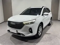 2021 Haval M6 PLUS 1.5T MT Luxury, белый — фото 1