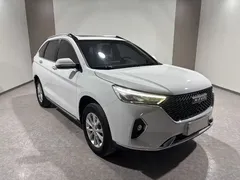 2021 Haval M6 PLUS 1.5T MT Luxury, белый — фото 2