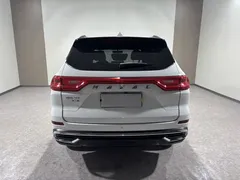 2021 Haval M6 PLUS 1.5T MT Luxury, белый — фото 4