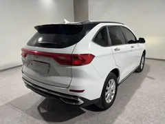 2021 Haval M6 PLUS 1.5T MT Luxury, белый — фото 5