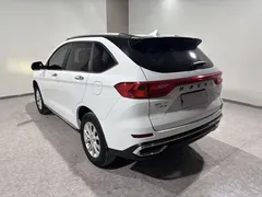 2021 Haval M6 PLUS 1.5T MT Luxury, белый — фото 6