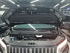 2024 Hongqi HQ9 2.0T PHEV 4WD Business, чёрный — фото 20