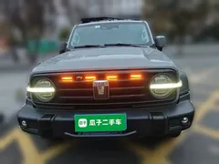 2023 Tank 300 Off-road 2.0T Conqueror — фото 2