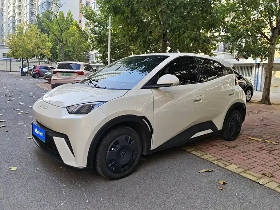 2025 BYD Seagull 305km Vitality