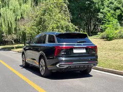 2022 Hongqi E-HS9 690km 6-seat, чёрный — фото 6