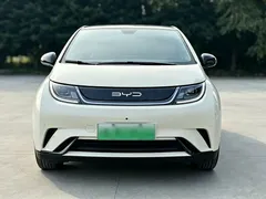 2023 BYD Dolphin 420km Fashion — фото 2
