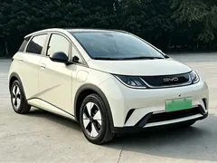 2023 BYD Dolphin 420km Fashion — фото 3