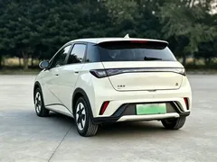 2023 BYD Dolphin 420km Fashion — фото 4