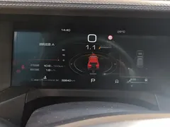 2023 Tank 300 Off-road 2.0T Challenger — фото 14