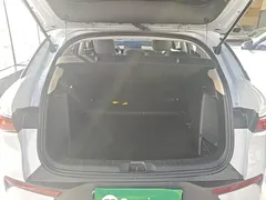2025 BYD Yuan PLUS EV 430km, белый — фото 19