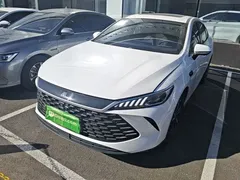 2025 BYD Qin PLUS DM-i PHEV 55km Exceed Smart Driving, белый — фото 2