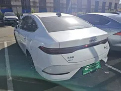 2025 BYD Qin PLUS DM-i PHEV 55km Exceed Smart Driving, белый — фото 5