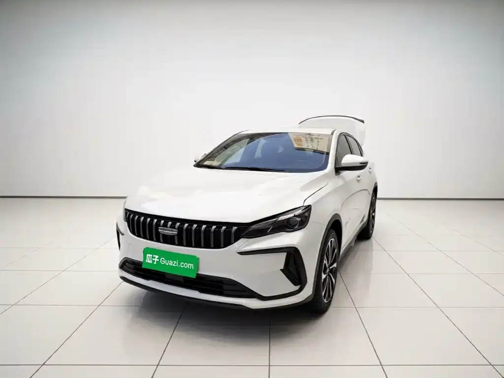 2024 Geely Binrui Cool 1.5T DCT Champion