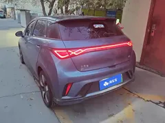 2024 BYD Dolphin EV 401km Honor Knight, синий — фото 3