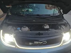2024 BYD Dolphin EV 401km Honor Knight, синий — фото 10