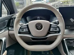 2025 BYD Tang DM-i 115KM PHEV Premium Smart Driving — фото 9