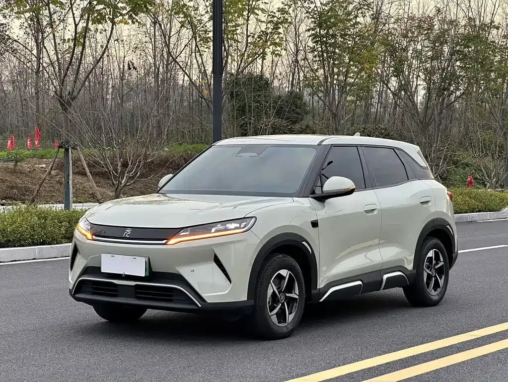 2025 BYD Yuan UP Smart Driving 401km Leading