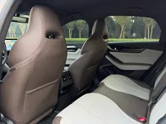 2024 BYD Qin PLUS Honor DM-i PHEV 55km Leading — фото 10