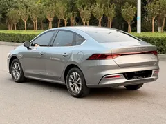 2024 BYD Qin PLUS Honor DM-i PHEV 55km Leading — фото 12