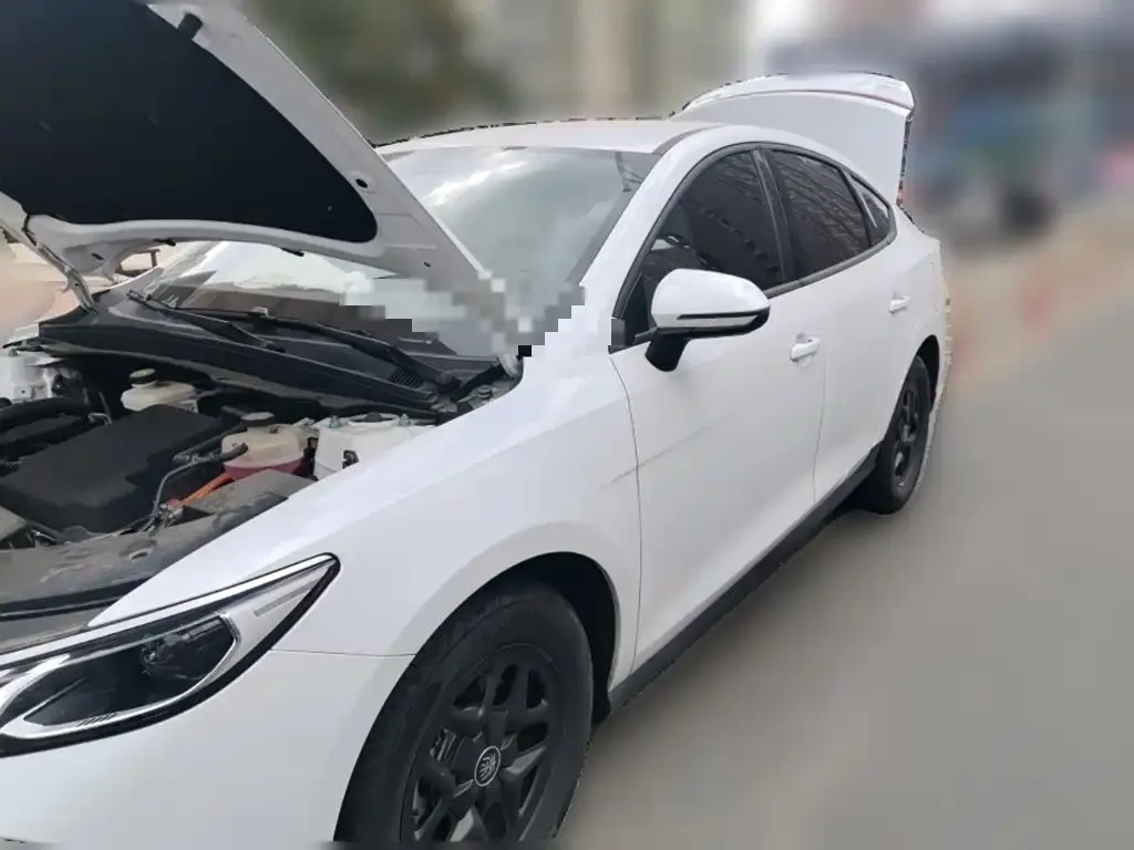 2025 BYD Qin PLUS DM-i PHEV Smart Driving 55km Leading