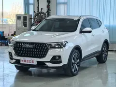 2023 Haval H6 1.5T AT Guochao Champion, белый — фото 1