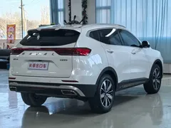 2023 Haval H6 1.5T AT Guochao Champion, белый — фото 4